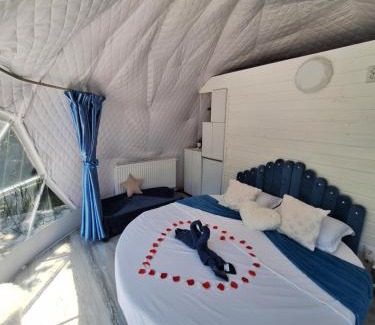 Rasnov Other | Igloo Rasnov