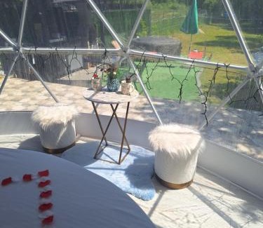 Rasnov Other | Igloo Rasnov