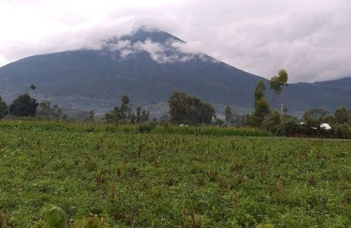 Western Region House | Ikirunga View Homestay Kisoro