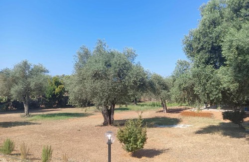 Alghero House | Il giardino dei sogni