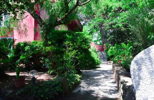 Barano d'Ischia Apartment | IL GIARDINO SELVATICO DI SUCCELLARIO - APARTMENTS