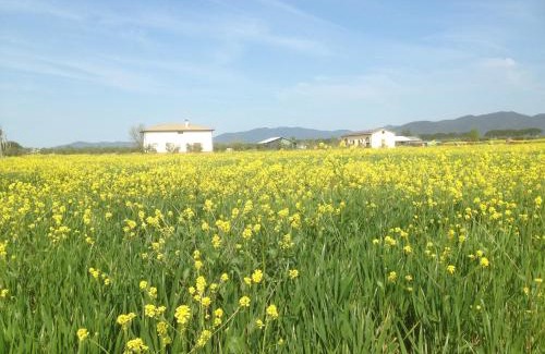 Grosseto House | Il Grano Di Bramante