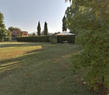 Monte San Quirico House | Il Nido