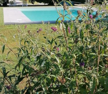 Monte San Quirico House | Il Nido