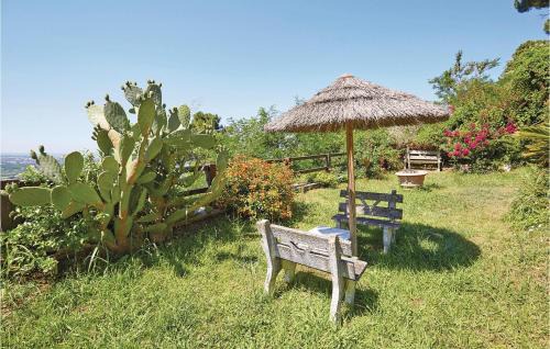 Massarosa House | Ilsole
