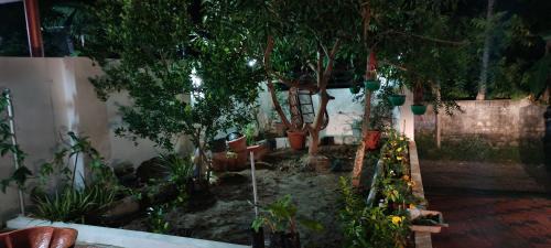 Thiruvananthapuram House | IMA'S home stay