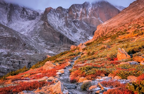 Estes Park Cottage | Immerse yourselves in the beauty of the mountains!