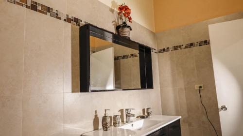 Kingston Bed & Breakfast | Incognito Culture Rooms