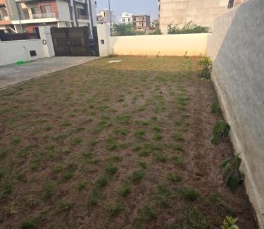Chandigarh House | Independent Homestay Near Airport