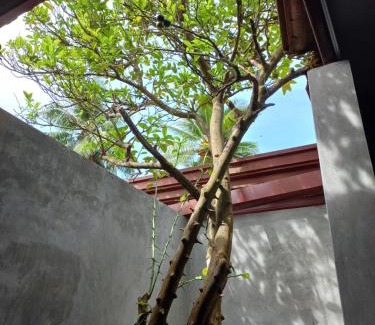 Hettimulla Apartment | Indra Sisila Resort and Villa Bentota