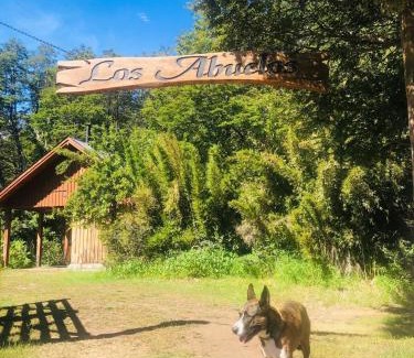 Lanin National Park Ski Chalet | Inigualable Cabaña a orillas del Lago Hermoso