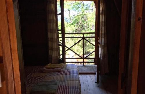 Lanin National Park Ski Chalet | Inigualable Cabaña a orillas del Lago Hermoso
