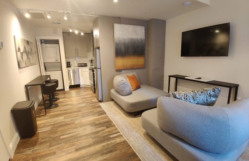 Downtown Baltimore Apartment | Inner Harbor's Best Furnished Luxury Apartments 1 Bedroom Apts by RedAwning