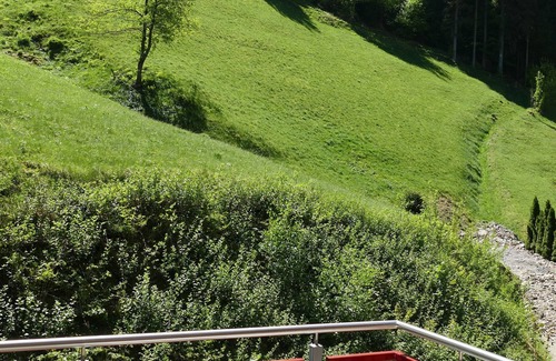 Sankt Maergen Apartment | Insider tip in the heart of the Black Forest: Felsenstüble