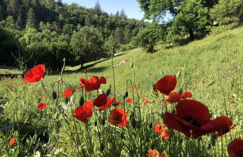 Saignon Apartment | Intimate, sober accommodation overlooking the Luberon