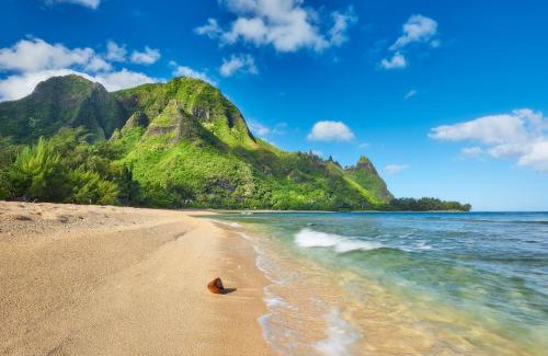 Anahola Other | Island Escape Rooftop Camper Gear-Included Glamping Adventure in Kauaʻi