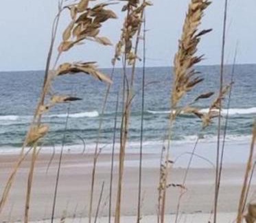 Butler Beach Apartment | Island Life
