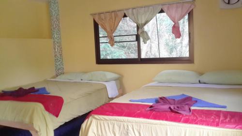 Ko Chang Apartment | Island Lodge