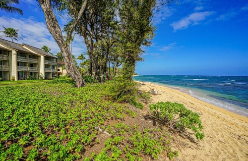 Wailua Hotel | Islander on the Beach 149