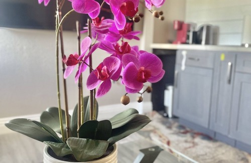 Hermosa Village Apartment | It is like small guest house with one bedroom one bath, and kitchen