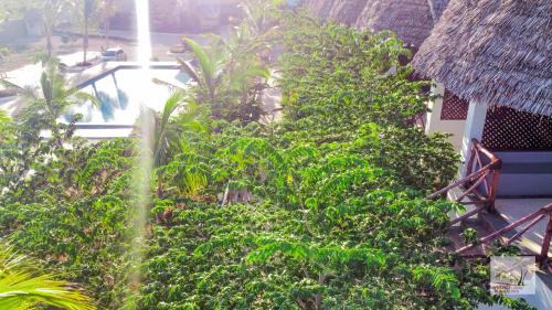Jambiani Hotel | Jabali Bungalows Lodge