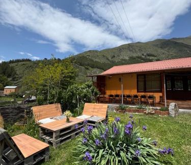 Kazbegi House | Januka Garden at Sno