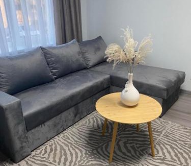 Siauliai City Center Apartment | Jaukus butas Šiaulių centre