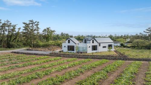 Hallim House | Jeju moridarakbang pension