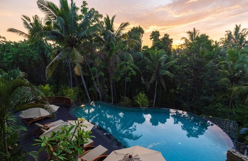 Melayang Apartment | Jungle Forest View, Spacious Suite room with Magnificent Swimming Pool at Ubud