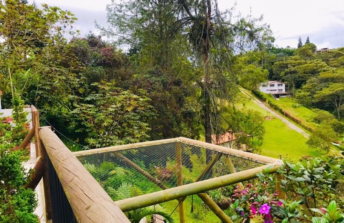 Cocorna Apartment | Junior Suite Mesh View with view of the mountains