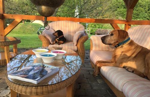 Hetvehely House | Kán-Forrest House with a View