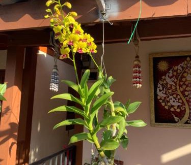 Chiang Khan House | K Khan Garden at Chiang Khan Walking Street