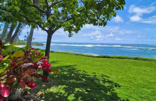 Wailua House Lots Hotel | Kapa'a Sands 08