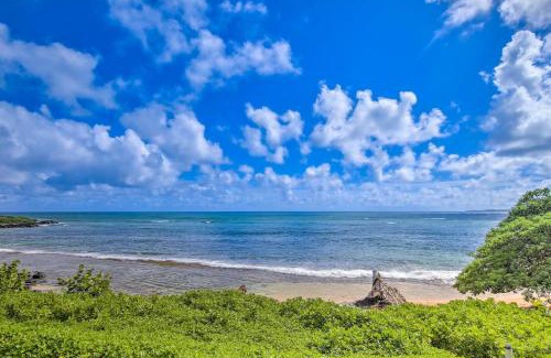 Wailua House Lots Hotel | Kapa'a Sands 08