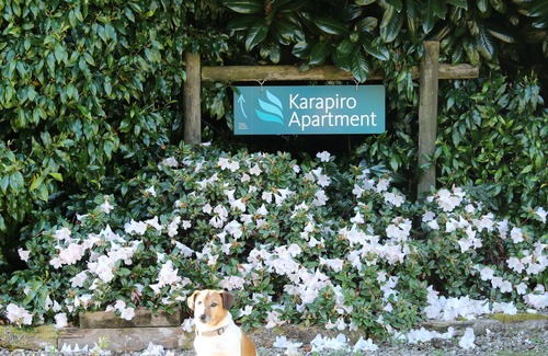 Karapiro Apartment | Karapiro Apartment, close to Lake Karapiro, Self-contained, one bedroom