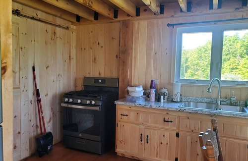 Savona Cabin | Kermit’s Cabin in Finger Lakes Region