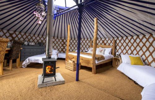Hawes House | Kestrel Yurt