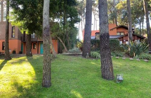 Mar de Las Pampas Cabin | Kimbara Bosque y Mar