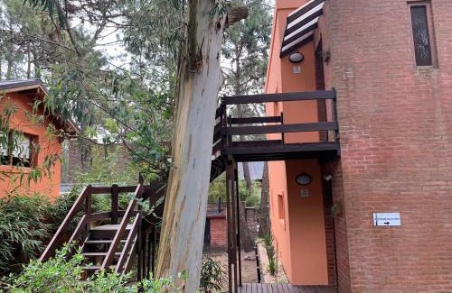 Mar de Las Pampas Cabin | Kimbara Bosque y Mar