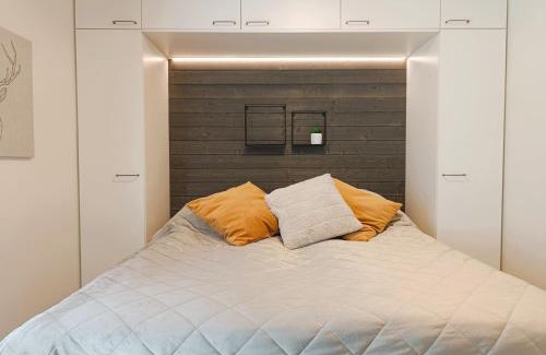 Syote Ski Chalet | Kinosmaja