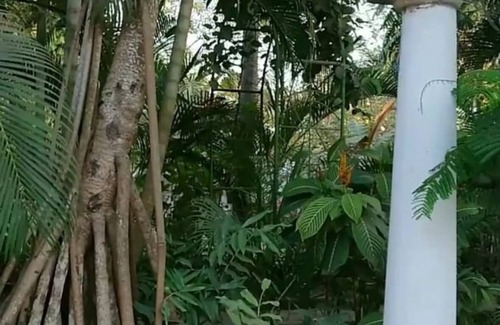Ukonga Bed & Breakfast | Kiota Jungle Homestay