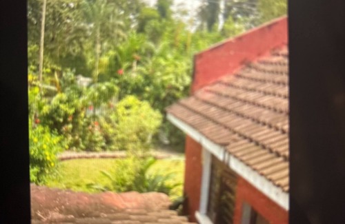 Ukonga Bed & Breakfast | Kiota Jungle Homestay