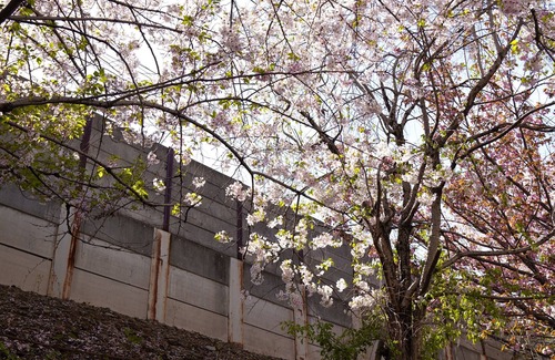 Nishinari House | Kishisato Kasuga