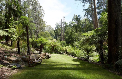 Mount Dandenong Cabin | Klara's Studio: Private rainforest with river