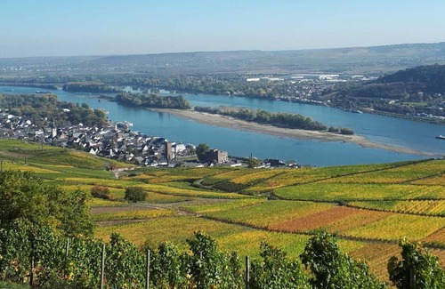Ruedesheim am Rhein Condo | Kleine Ferienwohnung in Toller Lage Direkt am Niederwald