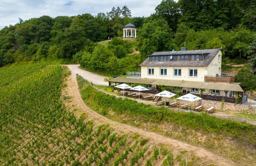 Ruedesheim am Rhein Condo | Kleine Ferienwohnung in Toller Lage Direkt am Niederwald