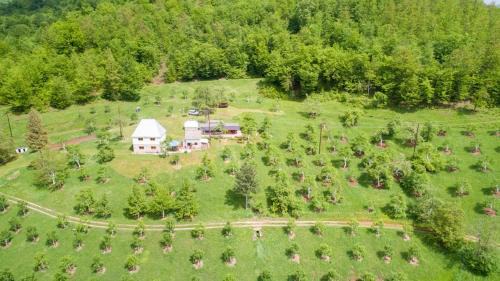 Montenegro House | Kljajevica Orchard