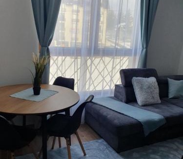 Lisina Apartment | Kopaonik,President Kop app Katarina1 free wellness&spa