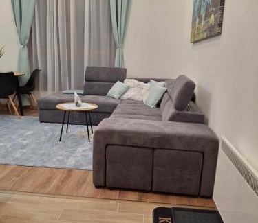 Lisina Apartment | Kopaonik,President Kop app Katarina1 free wellness&spa
