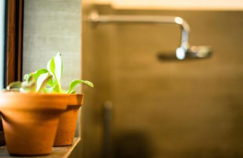 Mount Lavinia Bed & Breakfast | Kozy B&B